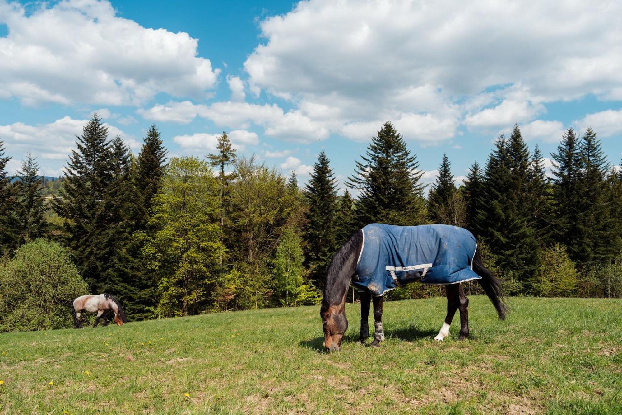 Swierkowe Chatki W Koniakowie Buitenkant foto